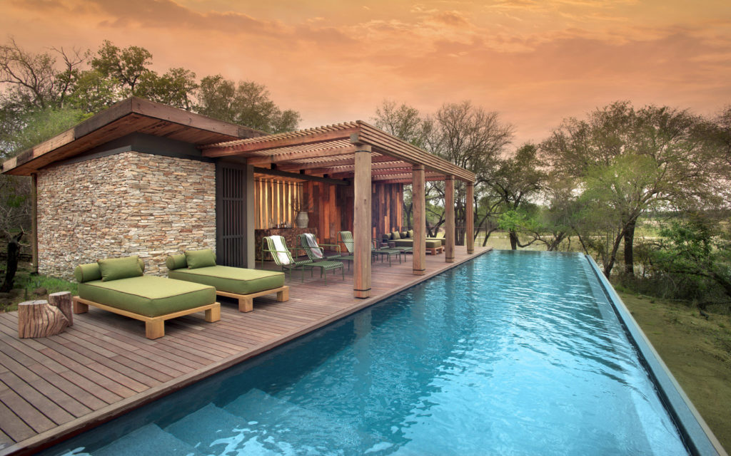 Piscinas naturales: bienestar, estética y sostenibilidad en tu patio