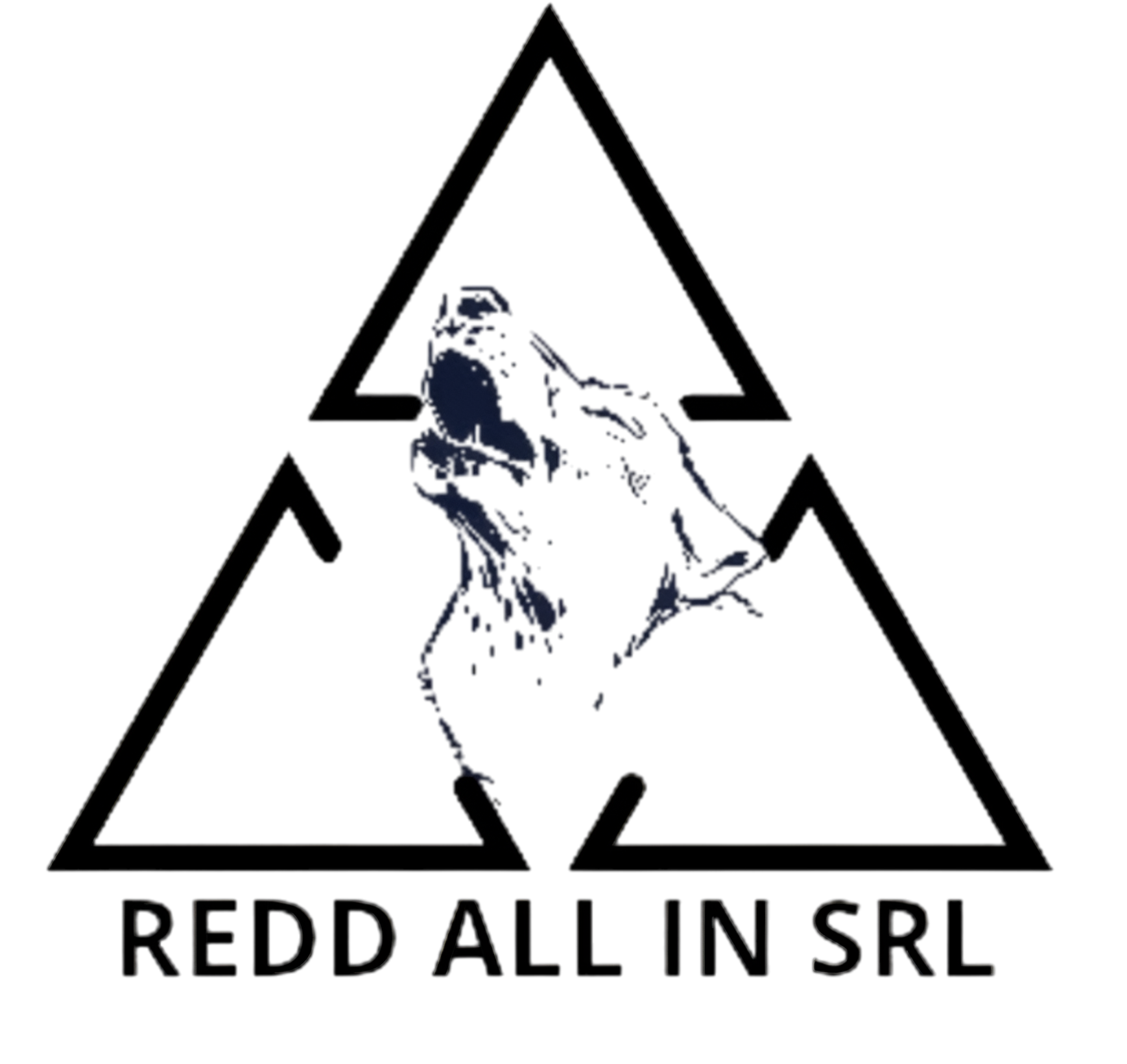 Logo REDD ALL IN SRL